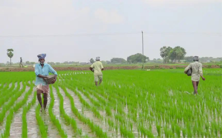 PM Kisan 24th Installment
PM Kisan Beneficiary Status
PM Kisan e-KYC Online
PM Kisan 24वीं किस्त
pm kisan samman nidhi yojana
